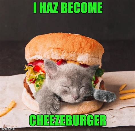 cheezburger meme